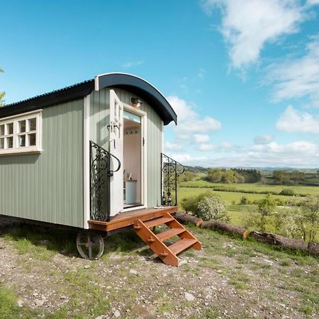 The Heron Shepherds Hut At Lyth Valley Brigsteer Dış mekan fotoğraf